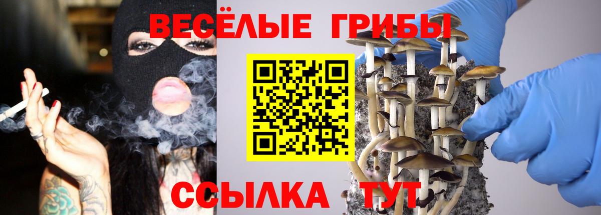 Псилоцибиновые грибы Magic Shrooms  Галлюциногенные грибы мицелий  Юрга  Вход с VPN 