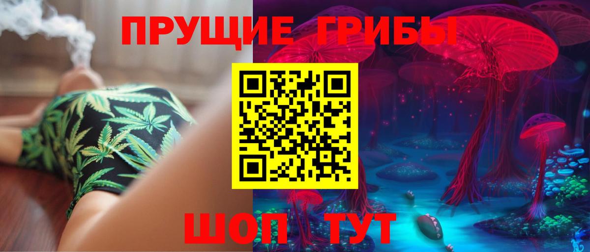 Псилоцибиновые грибы MAGIC MUSHROOMS Юрга
